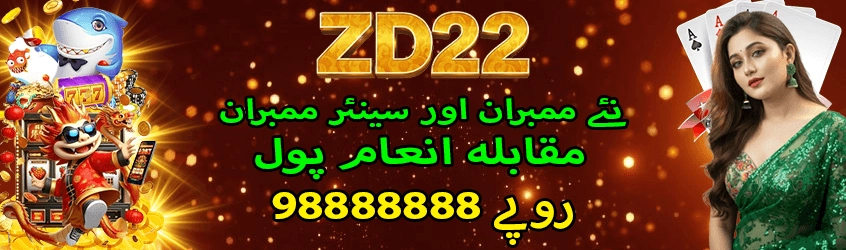 ZD222 Game