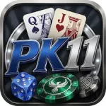 pk11 game